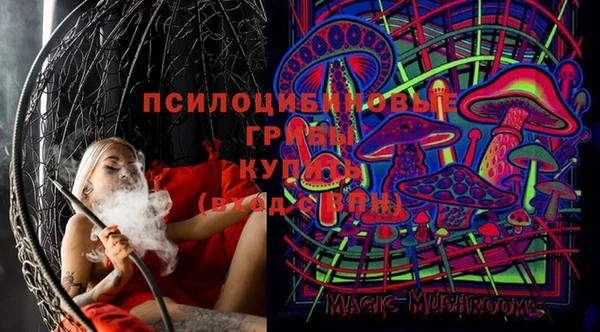 шишки Михайловка